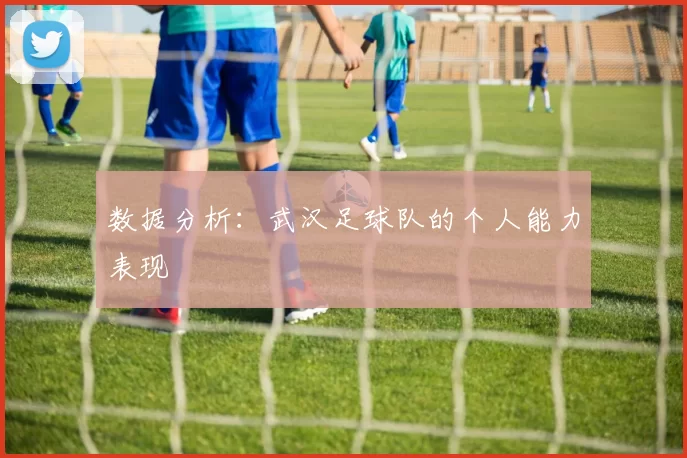 数据分析：武汉足球队的个人能力表现