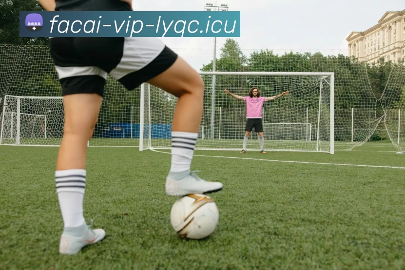 MK体育APP 封面图